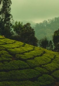 Sylhet